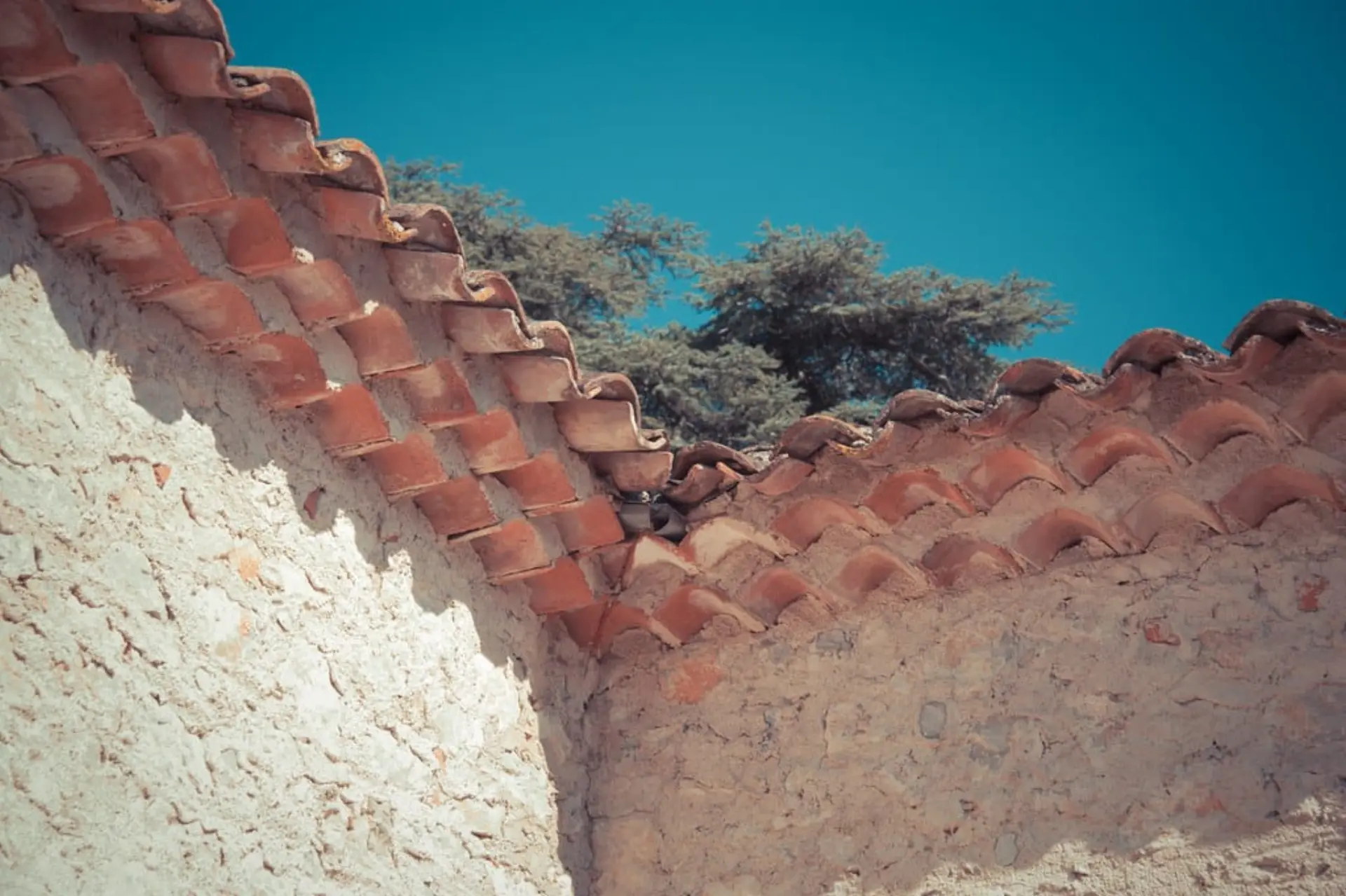 Brautpaar im Garten des Château