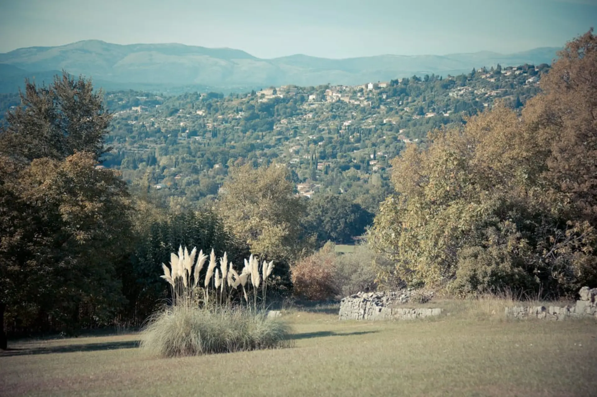 Emotionaler Moment während der Trauung