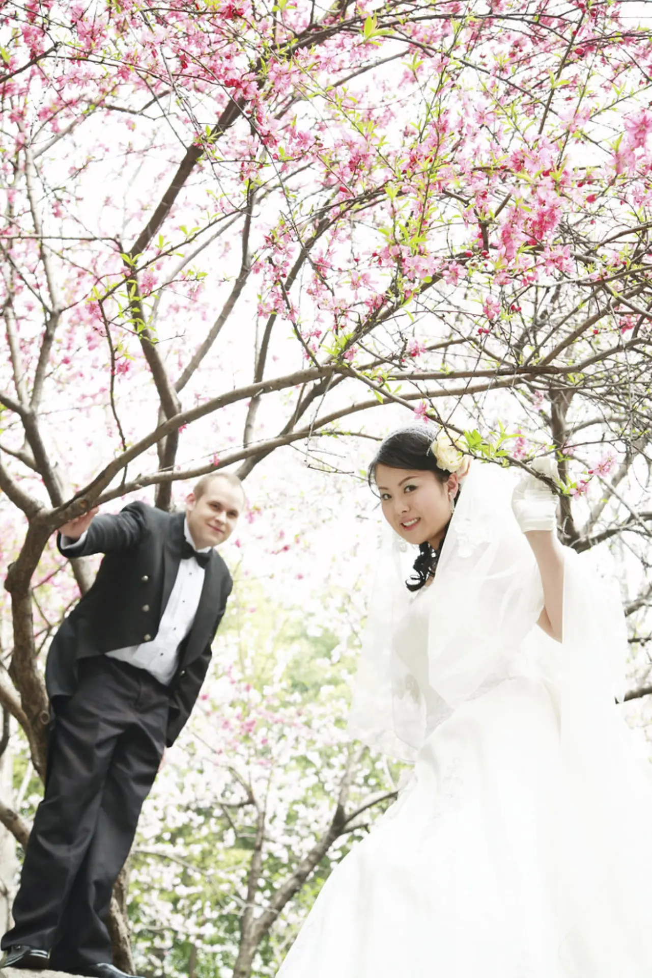 Paar unter einem blühenden Baum